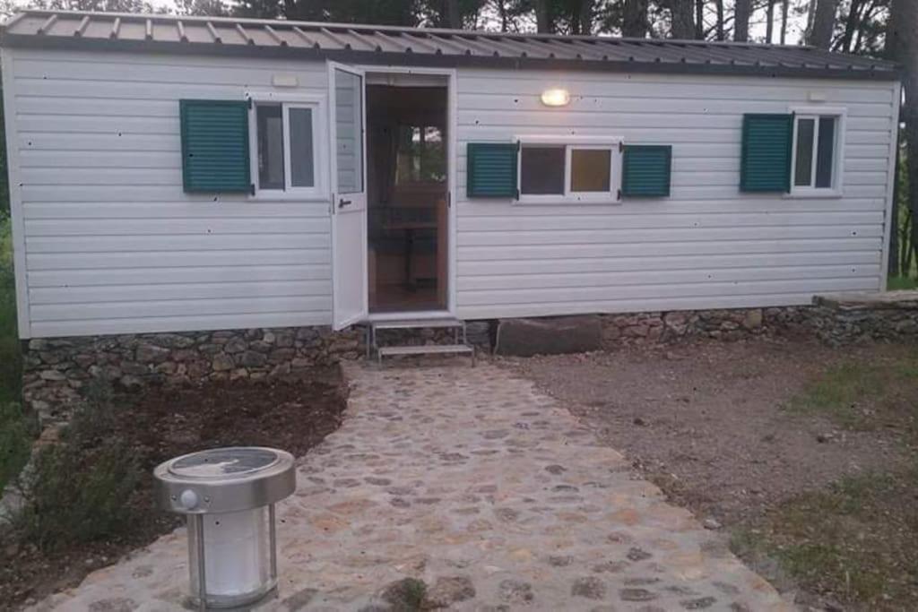 B&B Helga'S Agricampeggio Seulo Exterior photo