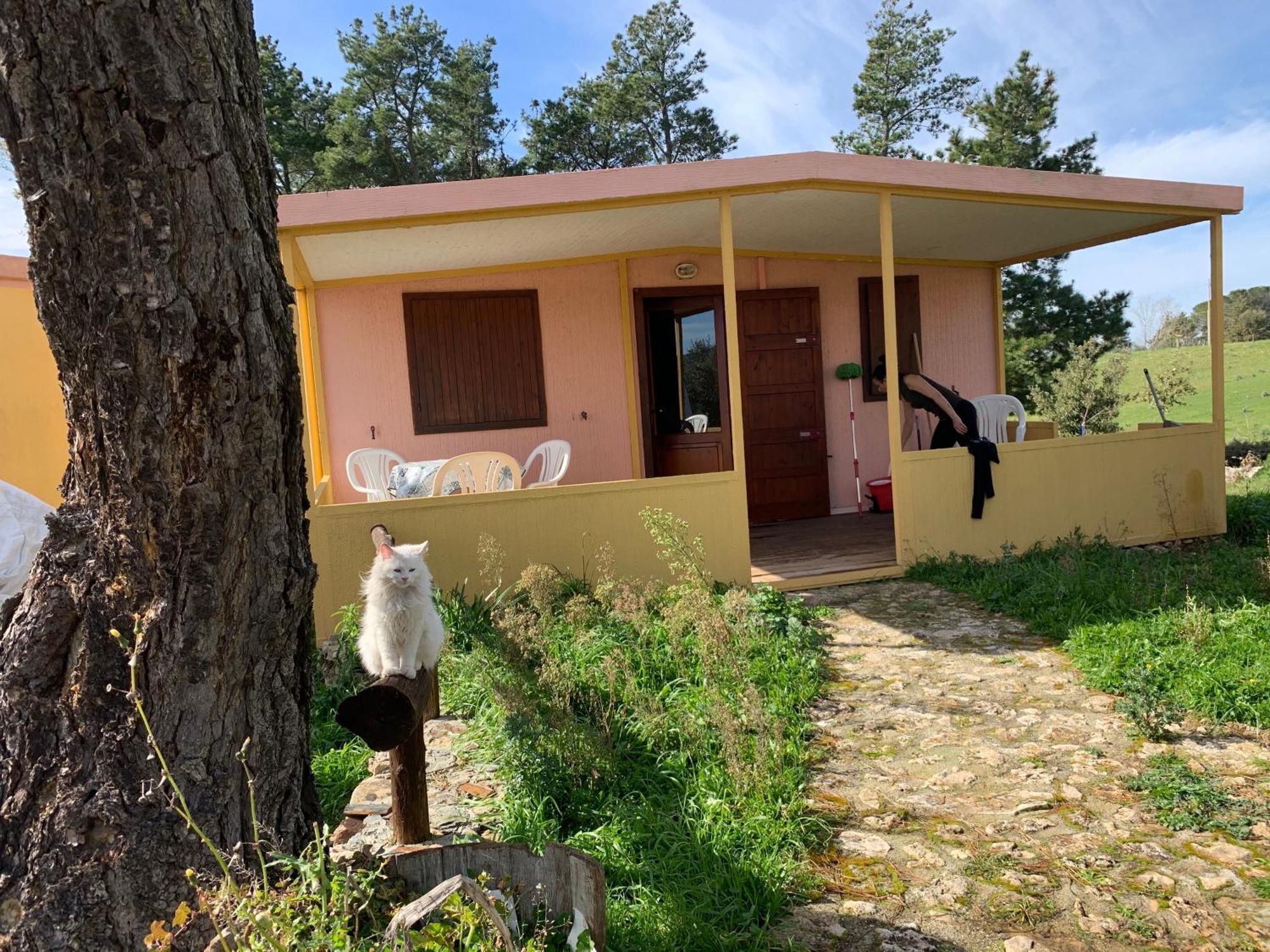 B&B Helga'S Agricampeggio Seulo Exterior photo